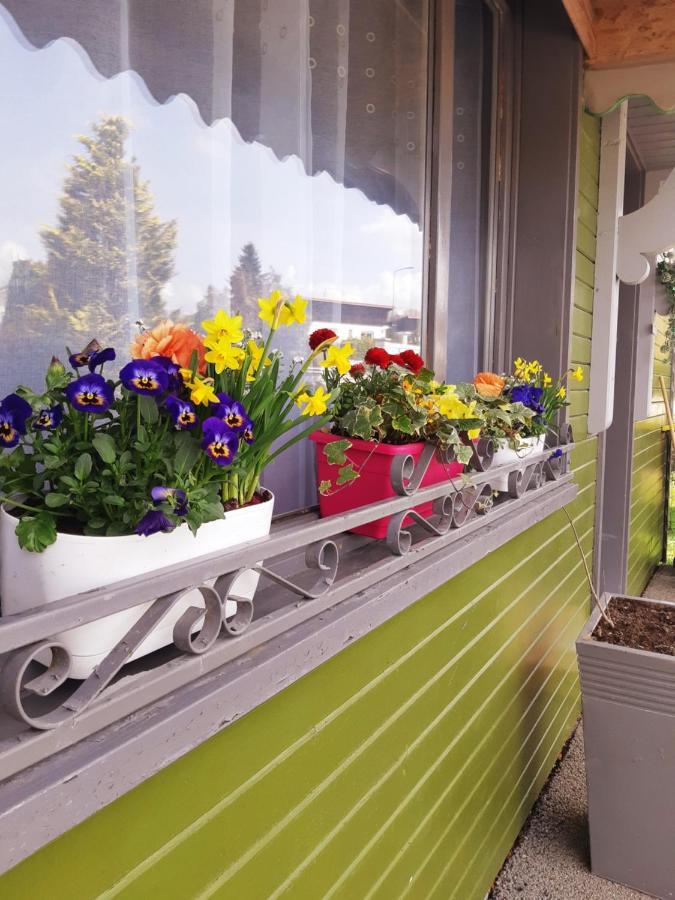 Gite Le Chalet Vert Frambouhans Exterior foto